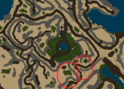 zolw.png