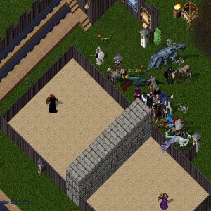 Molokais PVP Event