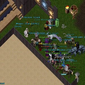 Molokais PVP Event